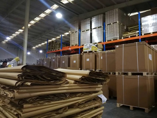 Túi khí chèn hàng 1000x1800mm tại ENVI Việt Nam