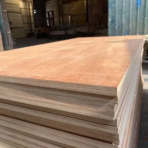 Ván ép hai mặt Bintangor