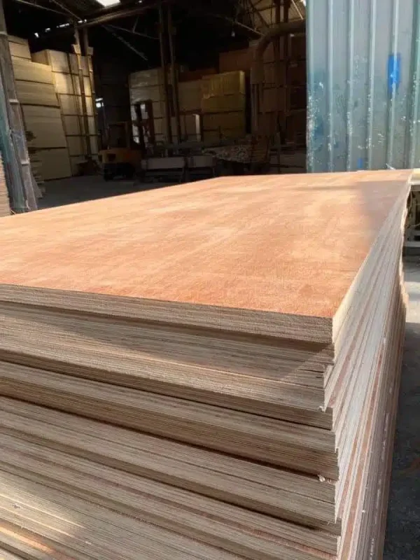 Ván ép hai mặt Bintangor