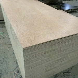 van ep okoume src 1.jpg
