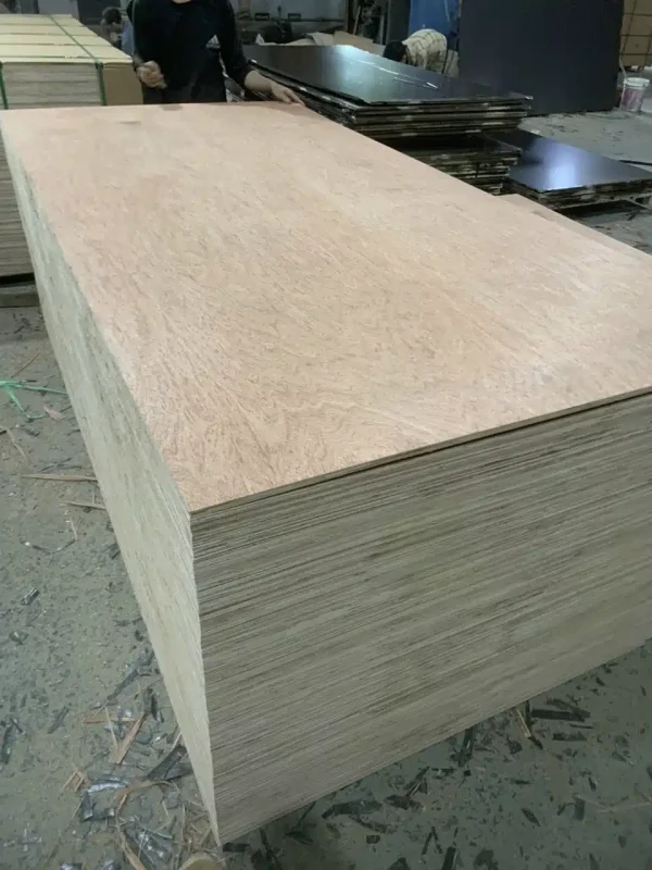 van ep okoume src 1.jpg